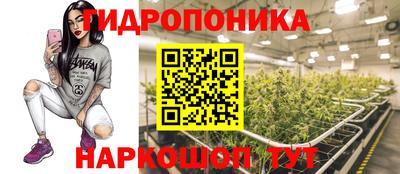 шишки Краснокаменск