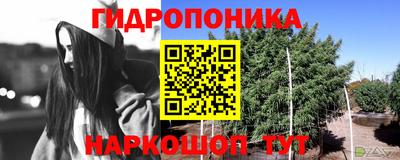 шишки Краснокаменск