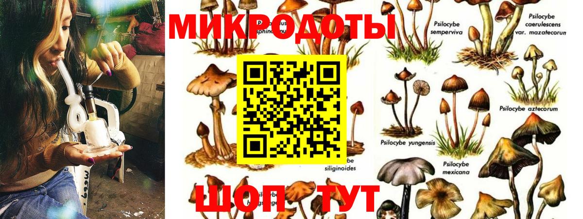 Псилоцибиновые грибы MAGIC MUSHROOMS Шумерля